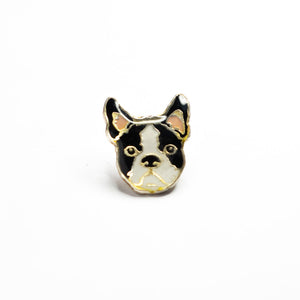 Boston terrier kitűző